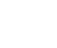 Twelve South